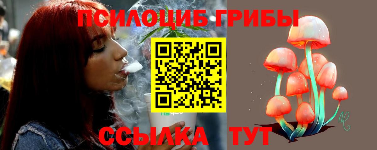 Коммунар  Галлюциногенные грибы Cubensis  Вход с VPN  Галлюциногенные грибы прущие грибы 