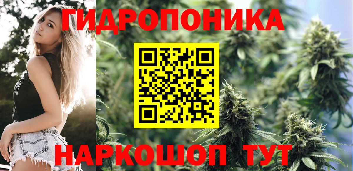Канабис индика Коммунар